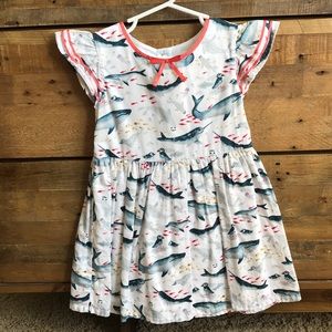 Toddler girls 4T dress